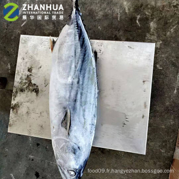 Emballage de carton rond entier de bonite dépouillée congelée de mer